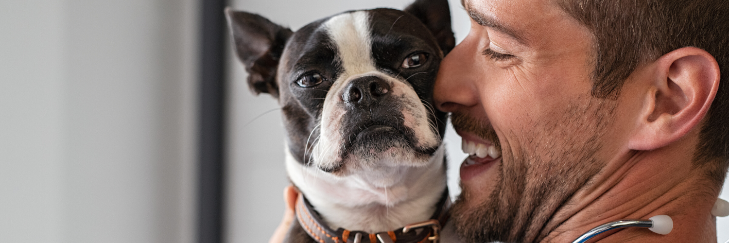 Where can I get cheap pet meds?